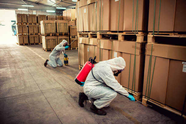 Best Emergency Pest Control  in Cottonport, LA
