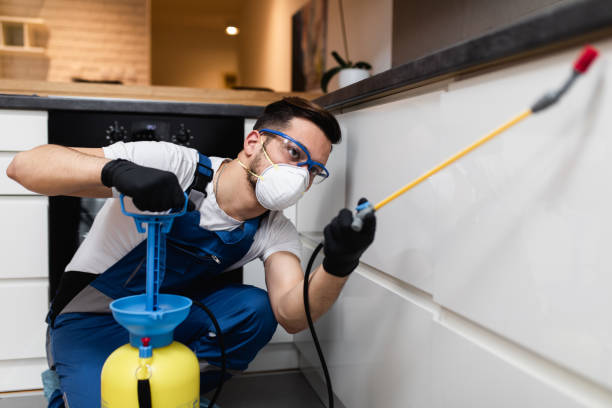 Best Best Pest Control Companies  in Cottonport, LA