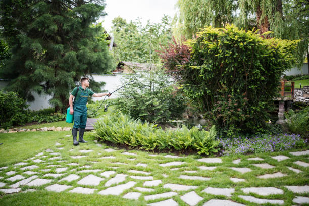 Best Pest Prevention Services  in Cottonport, LA