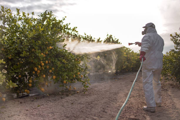 Best Wildlife Control Services  in Cottonport, LA